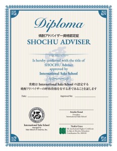 ISS Diploma