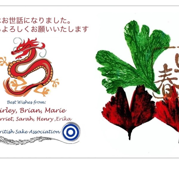 bsa-year-of-the-dragon